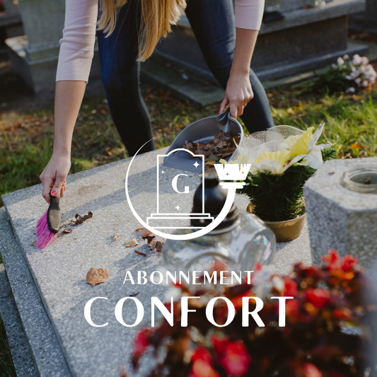 CONFORT - Nettoyage 3x/an